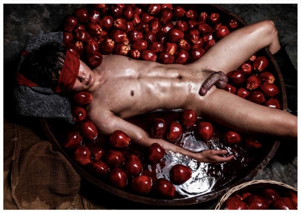 XPERIMENT-16--The-Apple-Picker